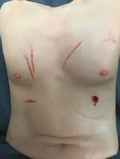Trauma Torso Skin -Halloween Props Store 60a069 b0b64524d9264f998db9b8871acf20efmv2