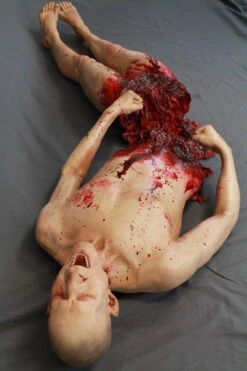 Split In Half Martin 2 Pc -Halloween Props Store 60a069 b3077b59db074424bfb9b9186257f273mv2