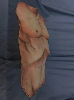 Cadaver Torso Skin -Halloween Props Store 60a069 b4bc40e0f7d647249fbe11521f4c36a9mv2