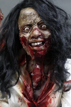 Professional Zombie Horde Value 6 Pack -Halloween Props Store 60a069 ba81a563731348bf81e3a0466e9f6e43mv2