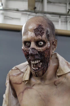 Zombie Zack Full Size Prop 16 Zombie Zack Full Size Prop -Halloween Props Store 60a069 be214b7afd664341ac70b6d59f1b080fmv2