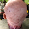 Severed Male Head “Adam”