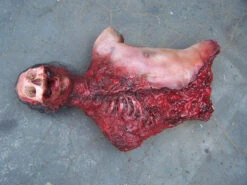 Deluxe Skull And Gore Torso