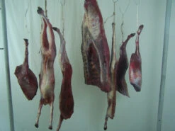 Goat Quarters 2 Piece