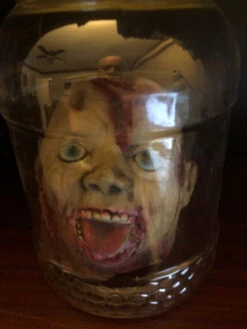 Speciman Head In A Jar