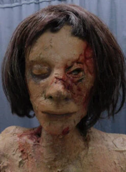 Putrid Holly Head Prop -Halloween Props Store 60a069 cab1e7b096b9440a8ef1d68c98abc5b5mv2