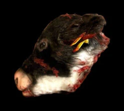 Animal Prop Calf Head