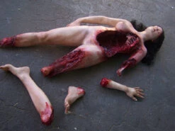 Chopped Kristina -Halloween Props Store 60a069 df6751cd9a42424fb1559812c222e20bmv2