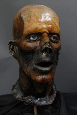 Sallow Head -Halloween Props Store 60a069 e46a316aa175403f90a80cc28318f0bfmv2