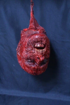 Hanging Skinned Kemmler Head