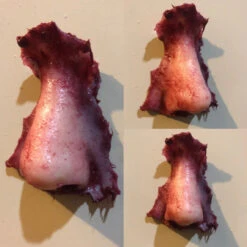 Severed Nose Magnet -Halloween Props Store 60a069 eab12419b6a5456796b475ecc468f484mv2