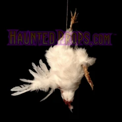 Animal Prop Chicken Headless