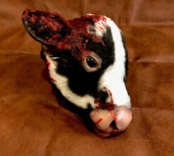 Animal Prop Calf Head -Halloween Props Store 60a069 ed8f0c5f3643405187ee2947acb87ce0mv2