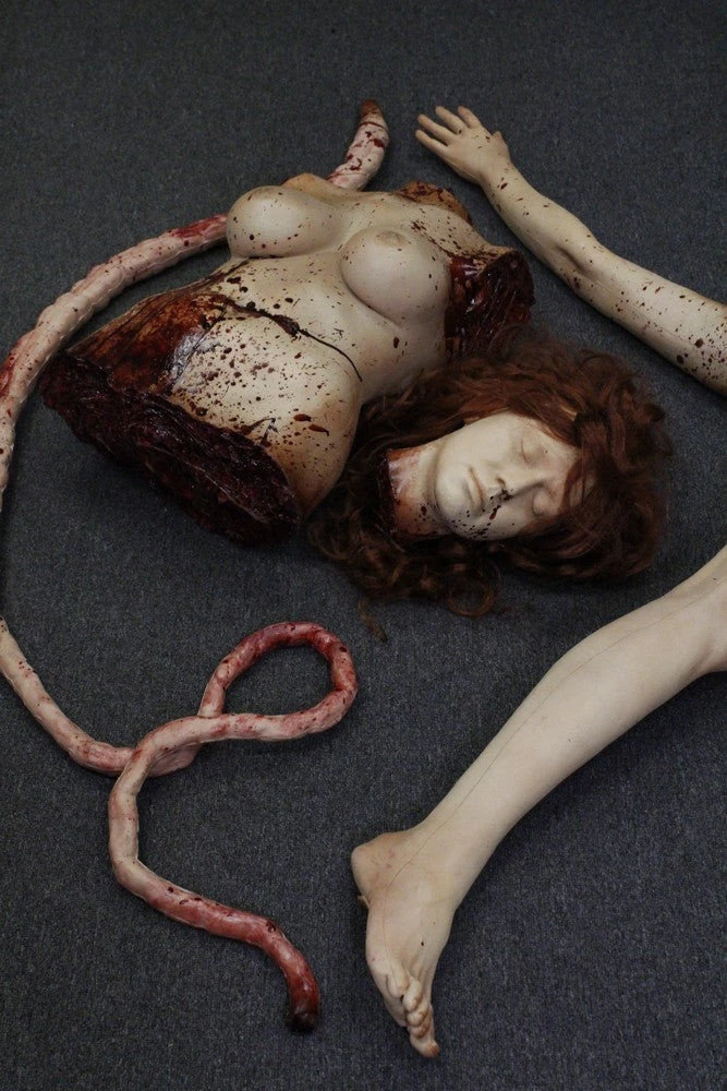 Female Mutilation Combo 1 Female Mutilation Combo