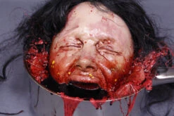 Boiled Agatha Head In Pot -Halloween Props Store 60a069 f5d32c1e25324b6b84d4d2b3089b5128mv2