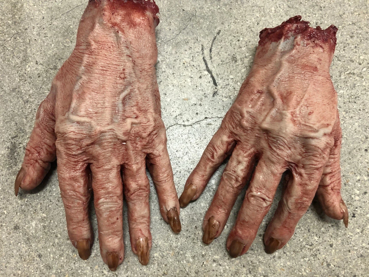 Pair Of Severed Witch Hand 1 Pair Of Severed Witch Hand