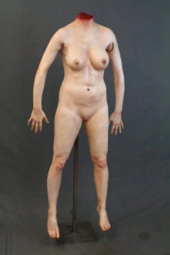 Decapitated Jessica Body 8 Decapitated Jessica Body -Halloween Props Store 60a069 f967803380fc4c279a0c570d3af20c1fmv2