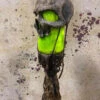 6 Foot Lighted Skull Swamp Stick