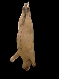 56" Hanging Pig Prop -Halloween Props Store 60a069 ff80dce868a842a691834a8dd6c36744mv2