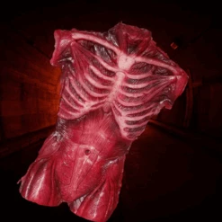 Muscle Torso Skin -Halloween Props Store 82c588 014abcd0bffe484e9e1f400fd6edb2bemv2