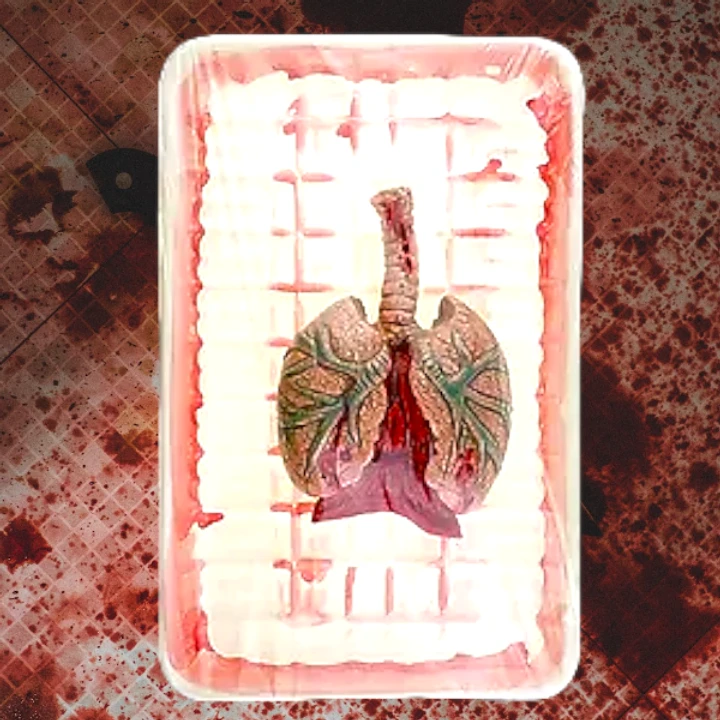 Butcher Shop Lung 1 Butcher Shop Lung
