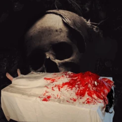 Wake Up DeadStatic Prop -Halloween Props Store 82c588 020aa4ffbc4a4e9fa7af199efe510afbmv2