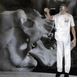 Dr. Pheal Phine Animated Prop