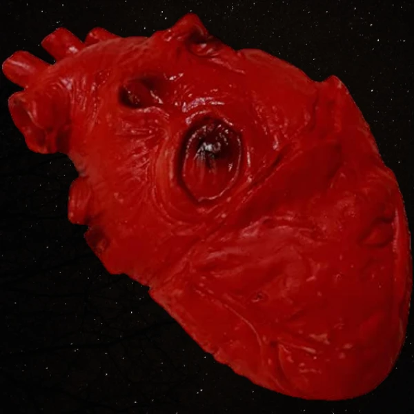 Bloody Heart Prop 2 Bloody Heart Prop - Image 2