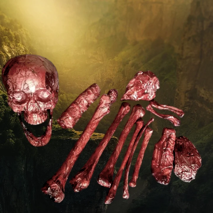 12 Piece Bloody Bones 1 12 Piece Bloody Bones