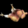 Putrid Gutted Chicken Prop