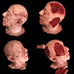 Severed Head With Magnetics 11 Severed Head With Magnetics -Halloween Props Store 82c588 0de0983dd1414994808698cc120fb7e7mv2