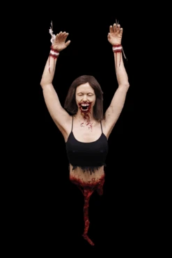 Dental Horror Agatha Dangler -Halloween Props Store 82c588 0e181c127167412d9767e3686575c231mv2