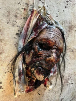 Zombie Head In A Bag