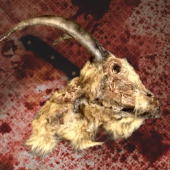 Animal Prop Goat Head Rotted Deluxe -Halloween Props Store 82c588 12e9bd6578db4709885bb9a3d6a4030emv2