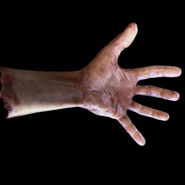 Severed Male Arm With Fingers Spread 1 Severed Male Arm With Fingers Spread