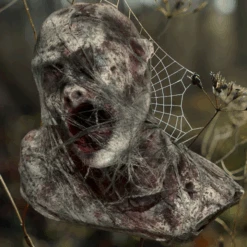 Cacoon Professional Head