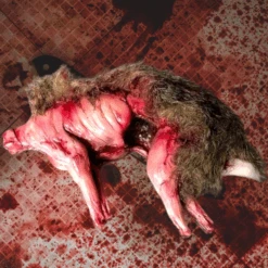 Skinned Rabbit With Fur