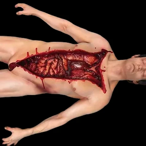 Autopsy Organs Jack Body 8 Autopsy Organs Jack Body - Image 8