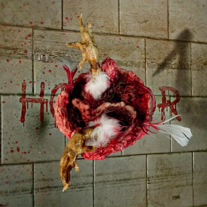 Bowl Of Chicken Goo 1 Bowl Of Chicken Goo