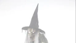 Cat-tastrophe Animated W/o Fog