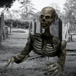 Full Size. Half Torso Prop