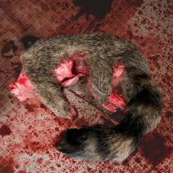 Animal Prop Raccoon -Halloween Props Store 82c588 31724357b1e4488a86aeee32fb229badmv2