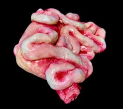 Gore Body Part Entrail Pile