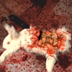 Animal Prop Rabbit Dismembered Large -Halloween Props Store 82c588 46ecdc8f35154b92be3e1ad1aabf9eb6mv2