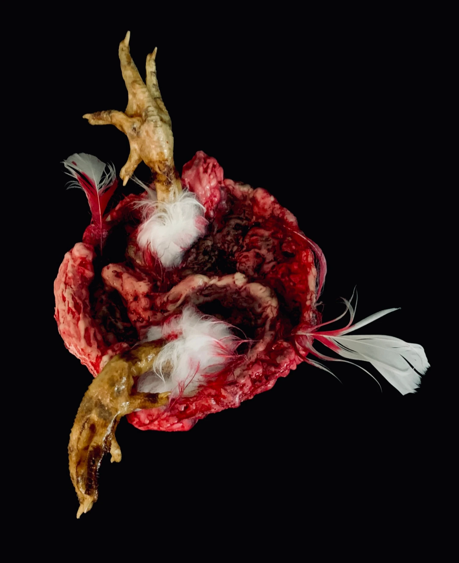 Bowl Of Chicken Goo 3 Bowl Of Chicken Goo - Image 3