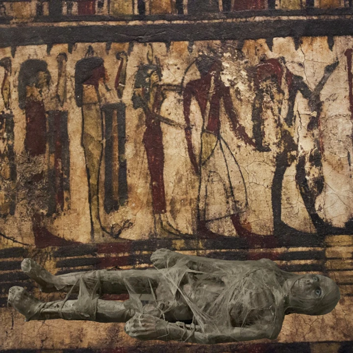 5 Foot Static MummyProfessional Quality 1 5 Foot Static MummyProfessional Quality