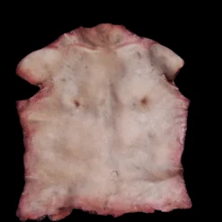 Human Torso Skin