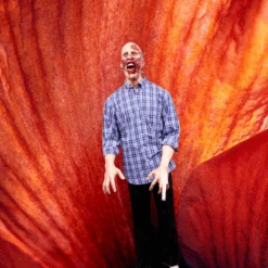 Dental Attack Zack Figure 11 Dental Attack Zack Figure -Halloween Props Store 82c588 52893156616645a2928418310895b105mv2