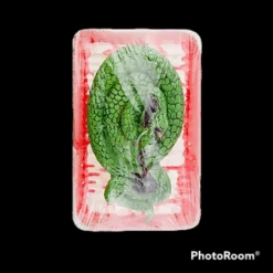 Butcher Shop Green Snake 5 Butcher Shop Green Snake -Halloween Props Store 82c588 5412d2ebd647466b93ca493f8bafa339mv2