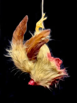 Headless Brown Dismembered Chicken -Halloween Props Store 82c588 54c9524a5a0844f3a5eb79145d96ee3fmv2